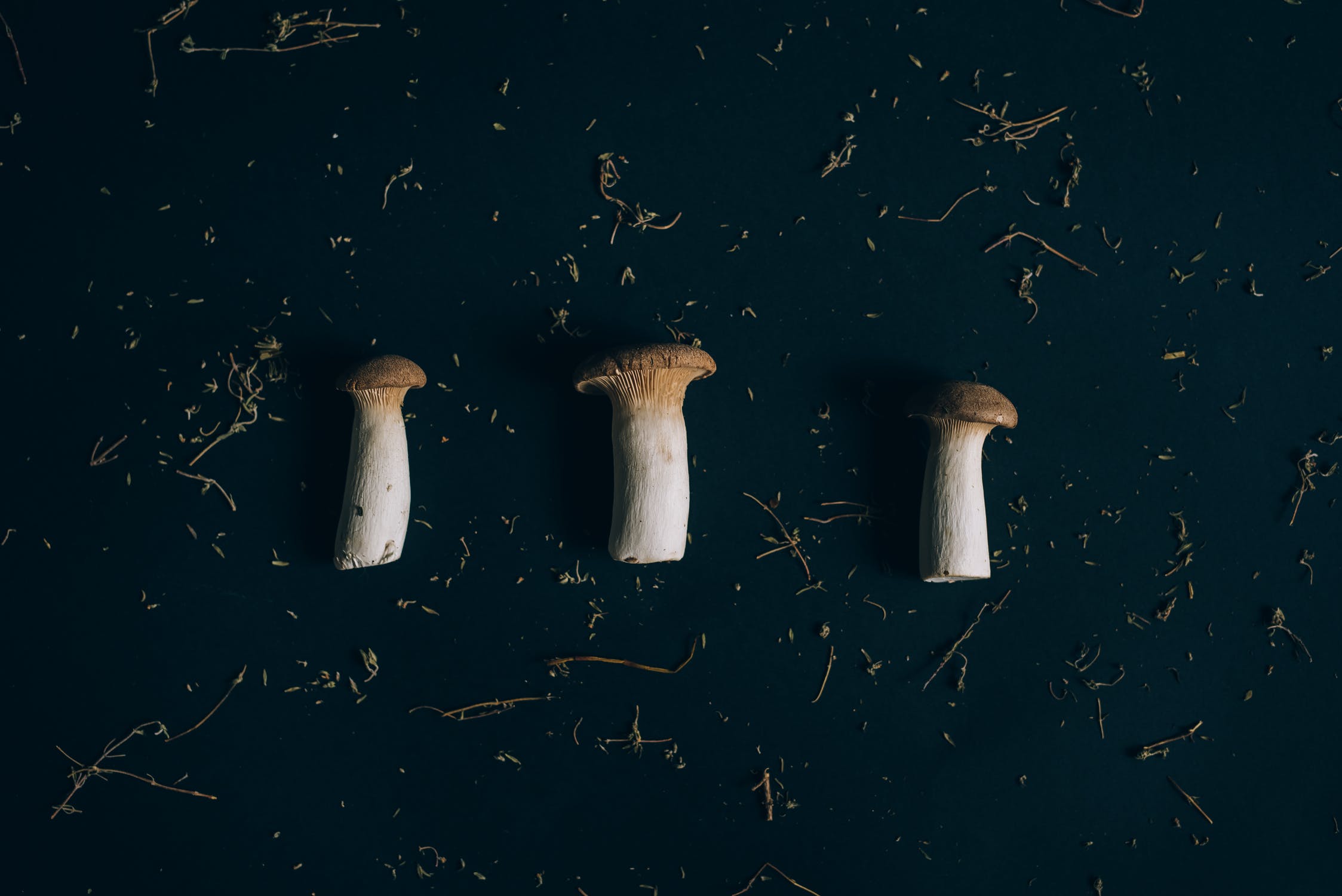 What’s The Deal With Cheshire Psilocybin Chocolates?