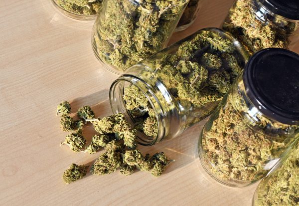 Weed storage