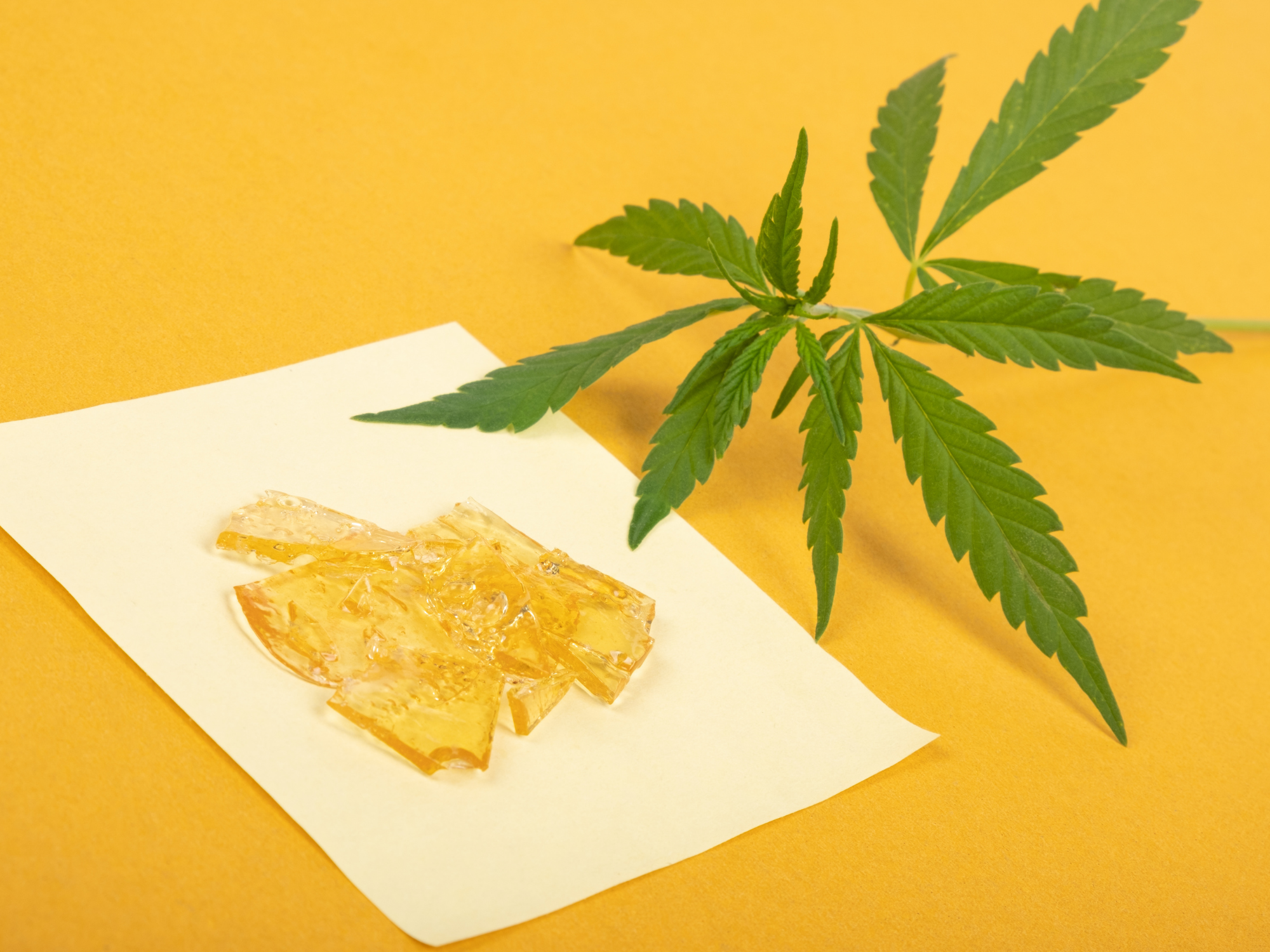 Different Types Of Cannabis Concentrates