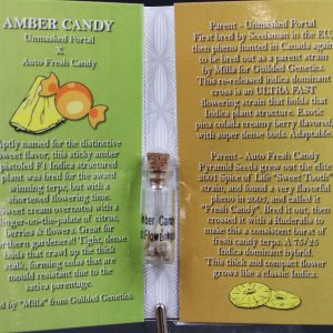 Amber Candy