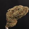 Rolex OG strain of cannabis