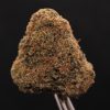 Tropical Truffles strain of cannabis