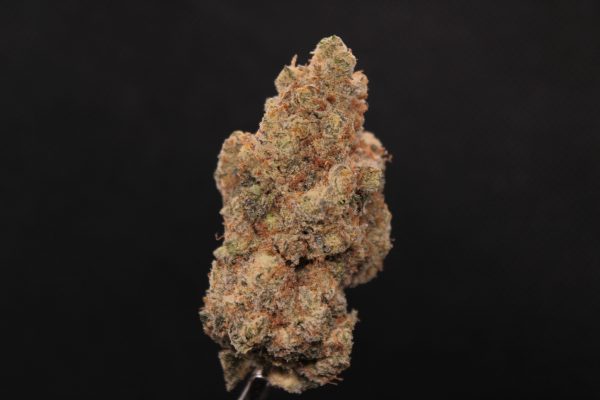 Sour Apple Truffle strain of cannabis