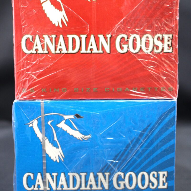 Canadian Goose Slides