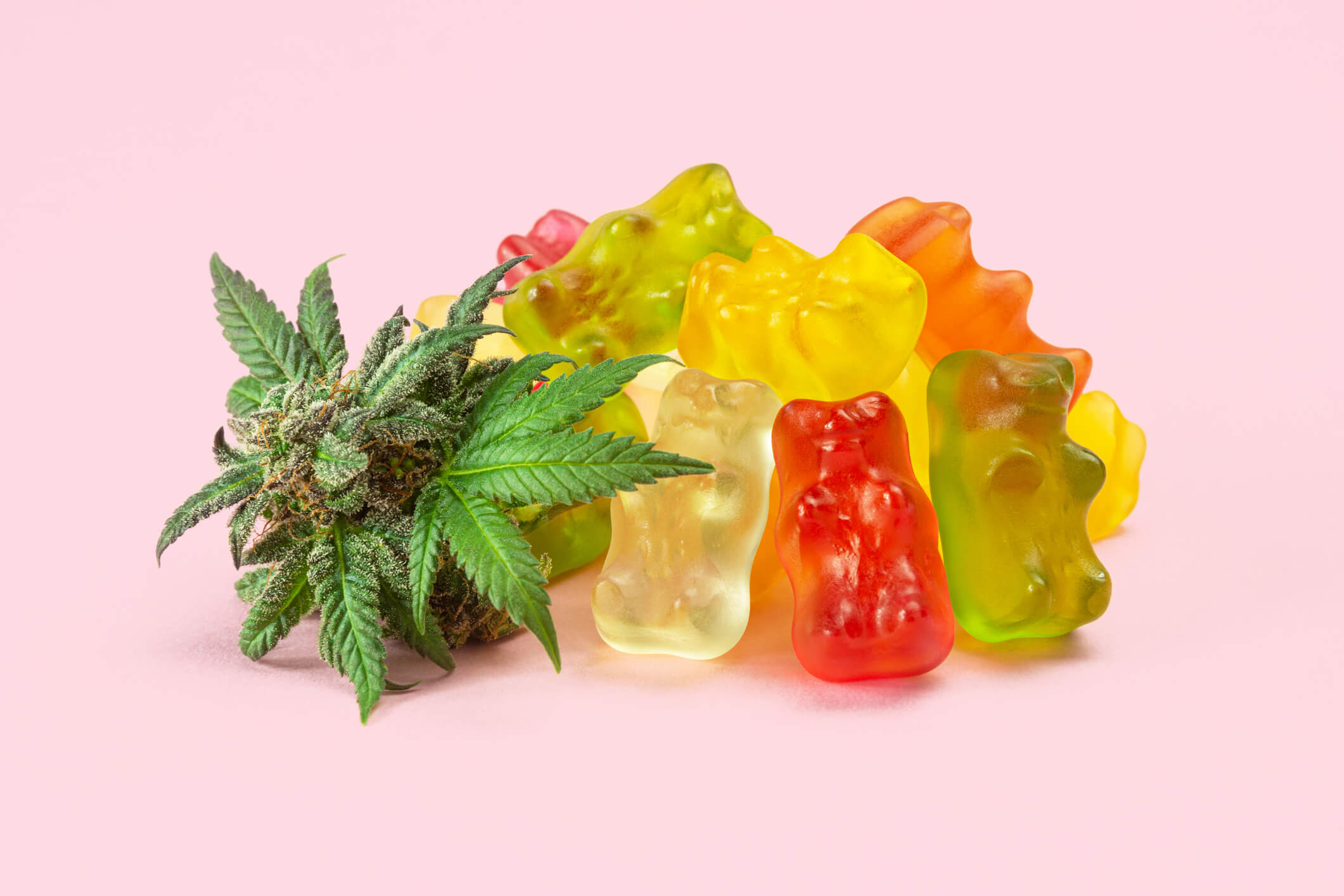 THC Gummies – Discover 4 Featured Sweet Treats