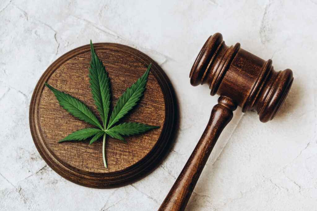 6 Reasons Why Legal Cannabis Is Safer Than Buying Off the Street