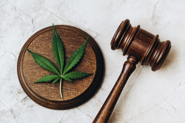 6 Reasons Why Legal Cannabis Is Safer Than Buying Off the Street