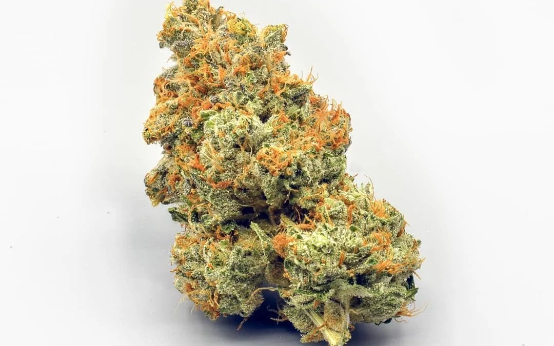 5 Cannabis Strains That Are Perfect for Social Settings