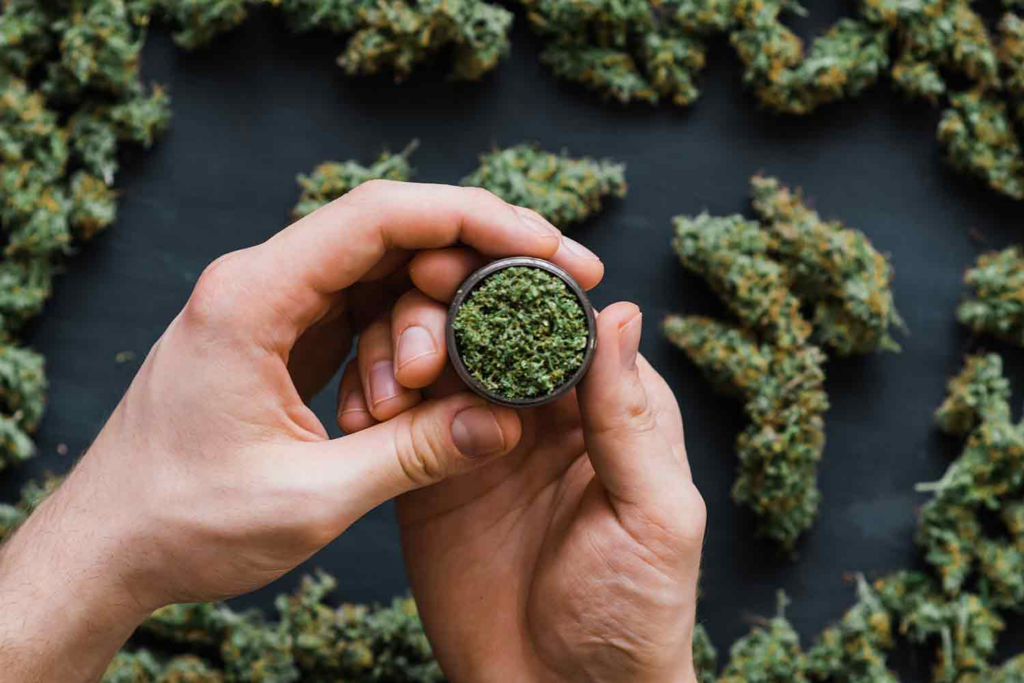 Is it safe to buy Cannabis online from a Canadian Dispensary?