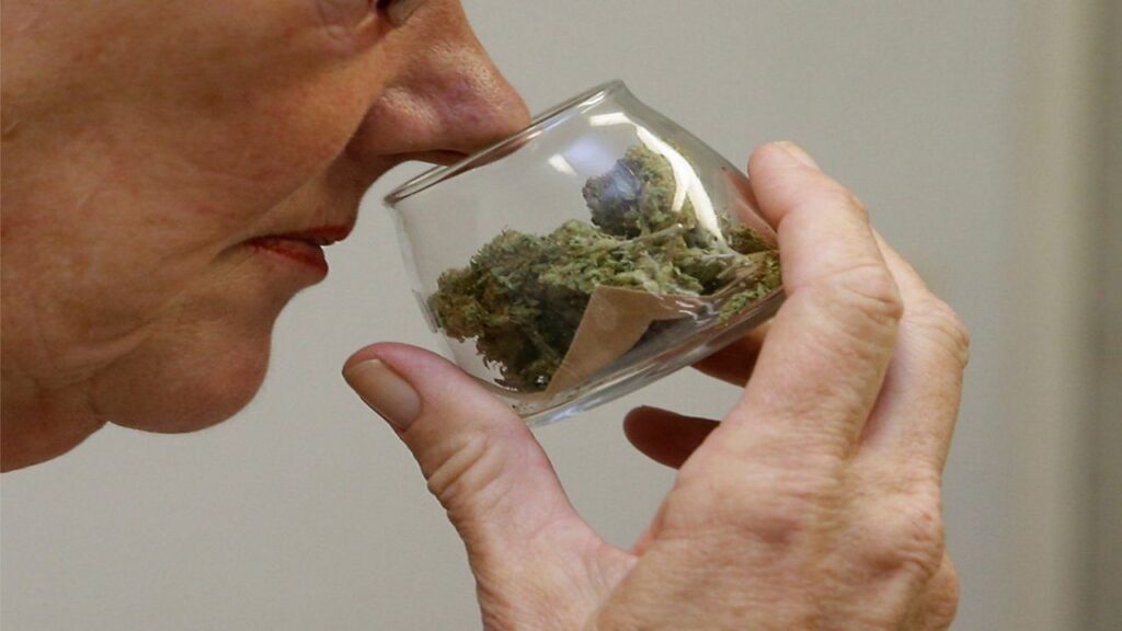 What Dispensaries Are Open Near Me in London, Ontario?