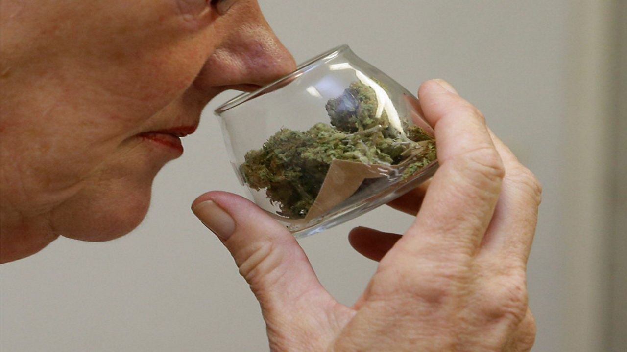 What Dispensaries Are Open Near Me in London, Ontario?