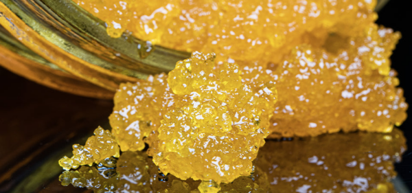 5 Reasons Live Resin Is Worth the Extra Cost