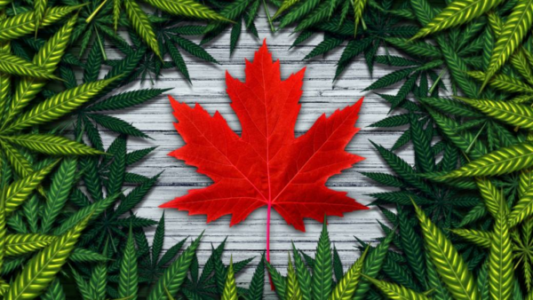 10 Things Every First-Time Cannabis Buyer in Canada Should Know