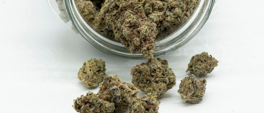 What is the Best Way to Store Cannabis Flower to Keep it Fresh?