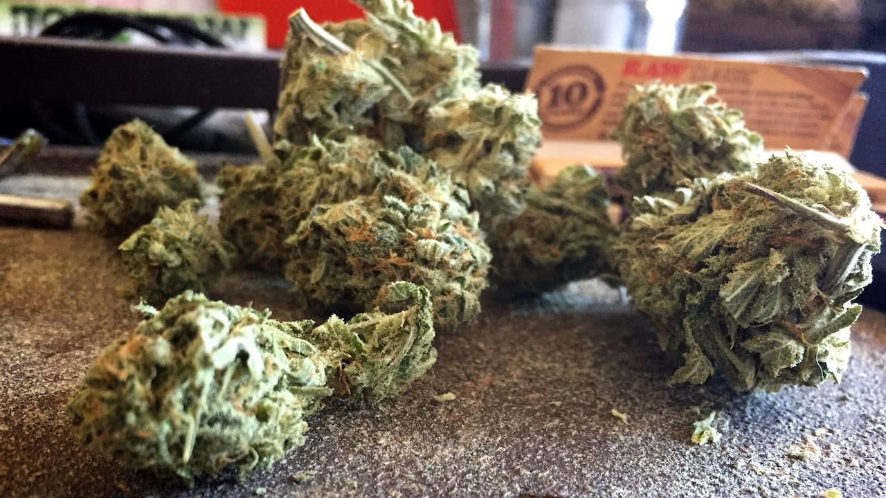 The Purple Leaf is London Ontario's trusted licensed cannabis dispensary. Flower, edibles, vapes, concentrates & CBD. Open 7 days, 9 AM–9 PM. Local delivery + ships Canada-wide.