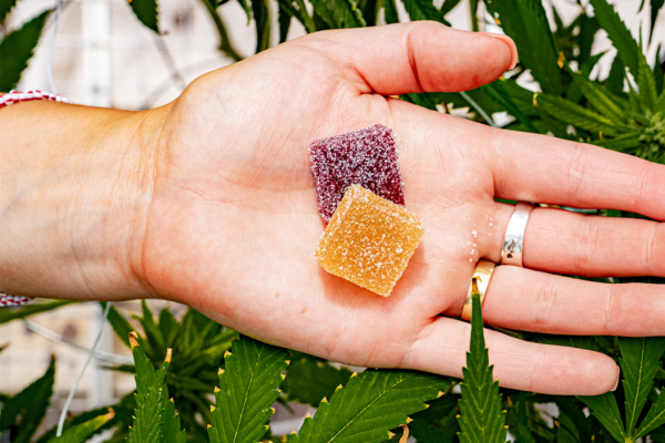 What are the best cannabis edibles for someone who has never tried them?
