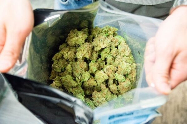 benefits of buying cannabis in bulk