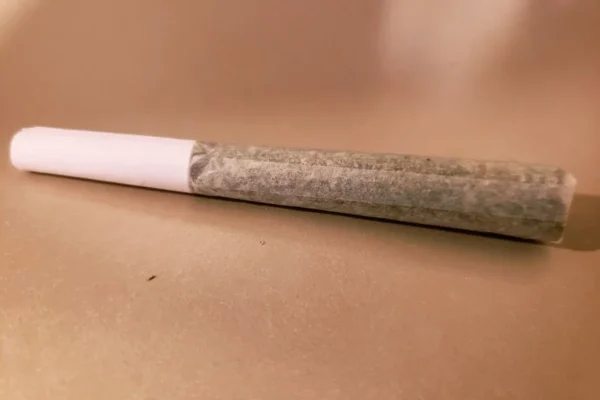 What are Pre-rolled Joints and How do they Work?
