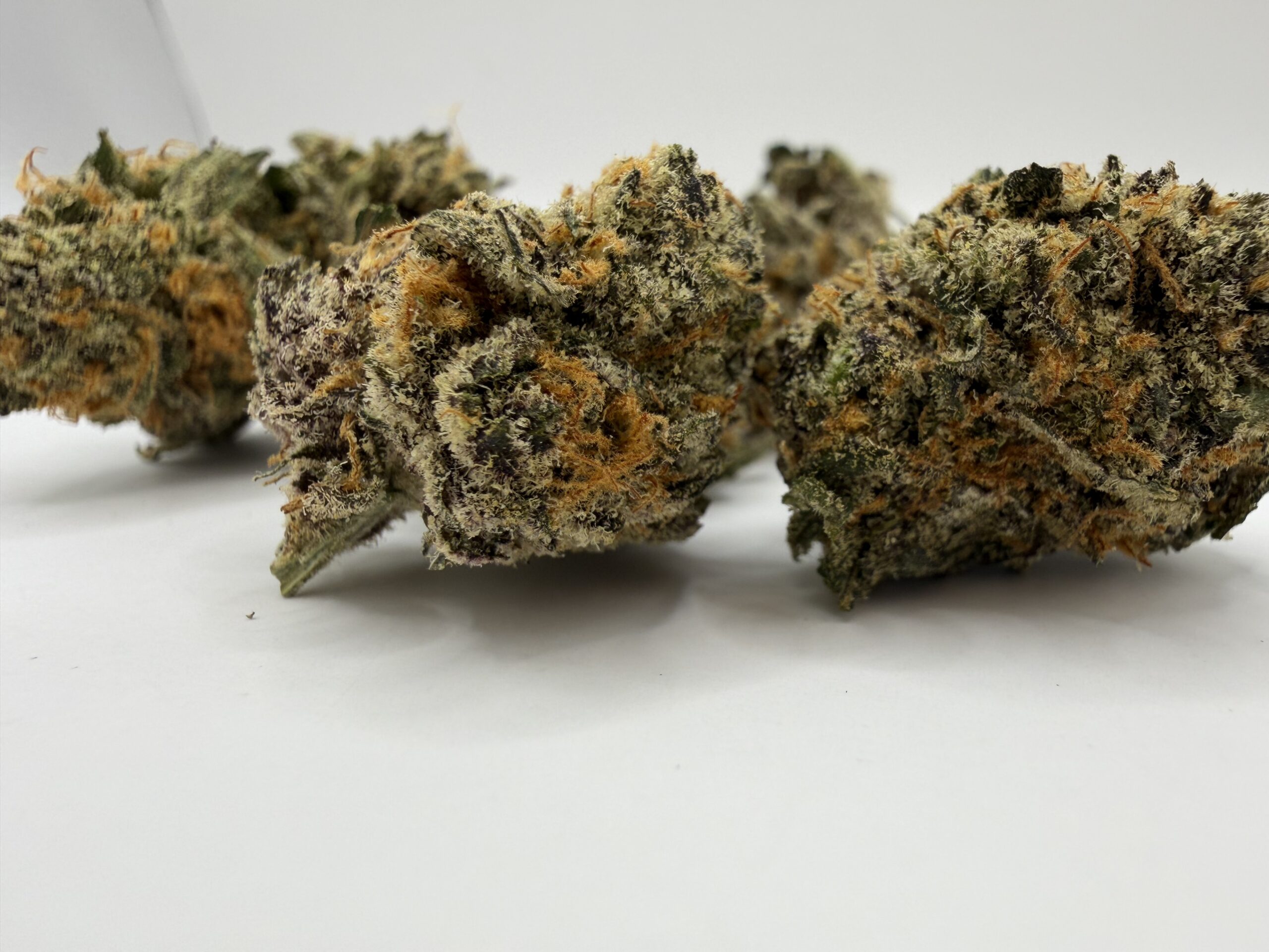 Blueberry Skunk