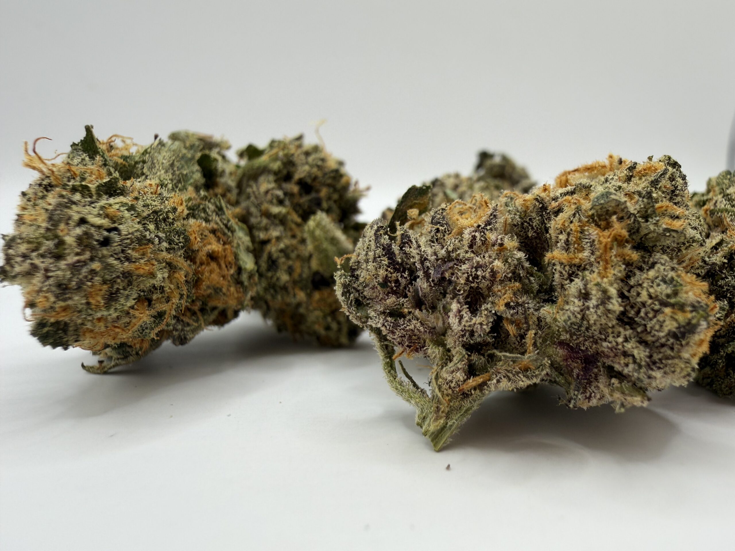 Blueberry Skunk