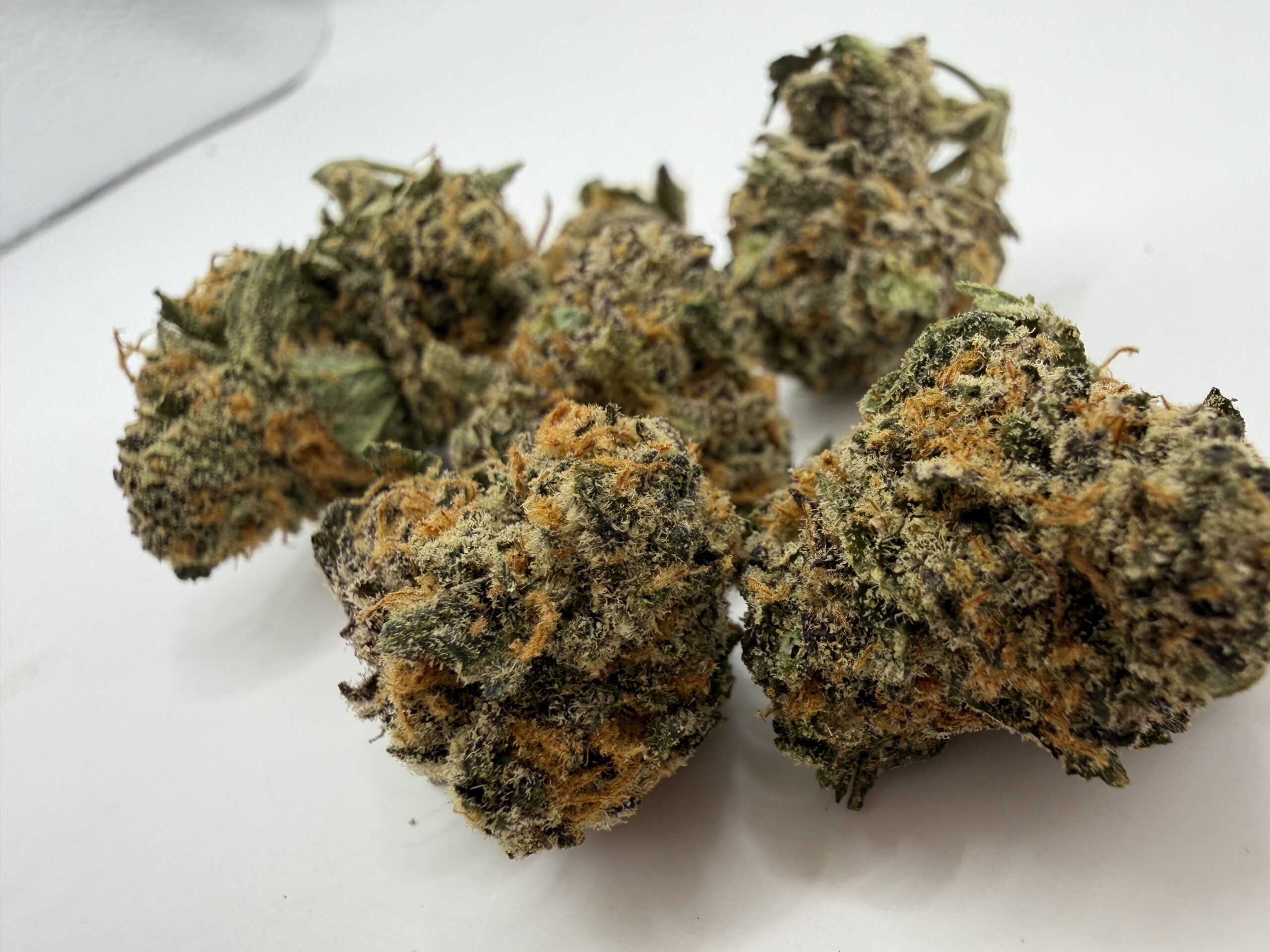 Blueberry Skunk