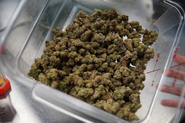 benefits of buying cannabis in bulk