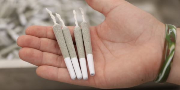 What are Pre-rolled Joints and How do they Work?