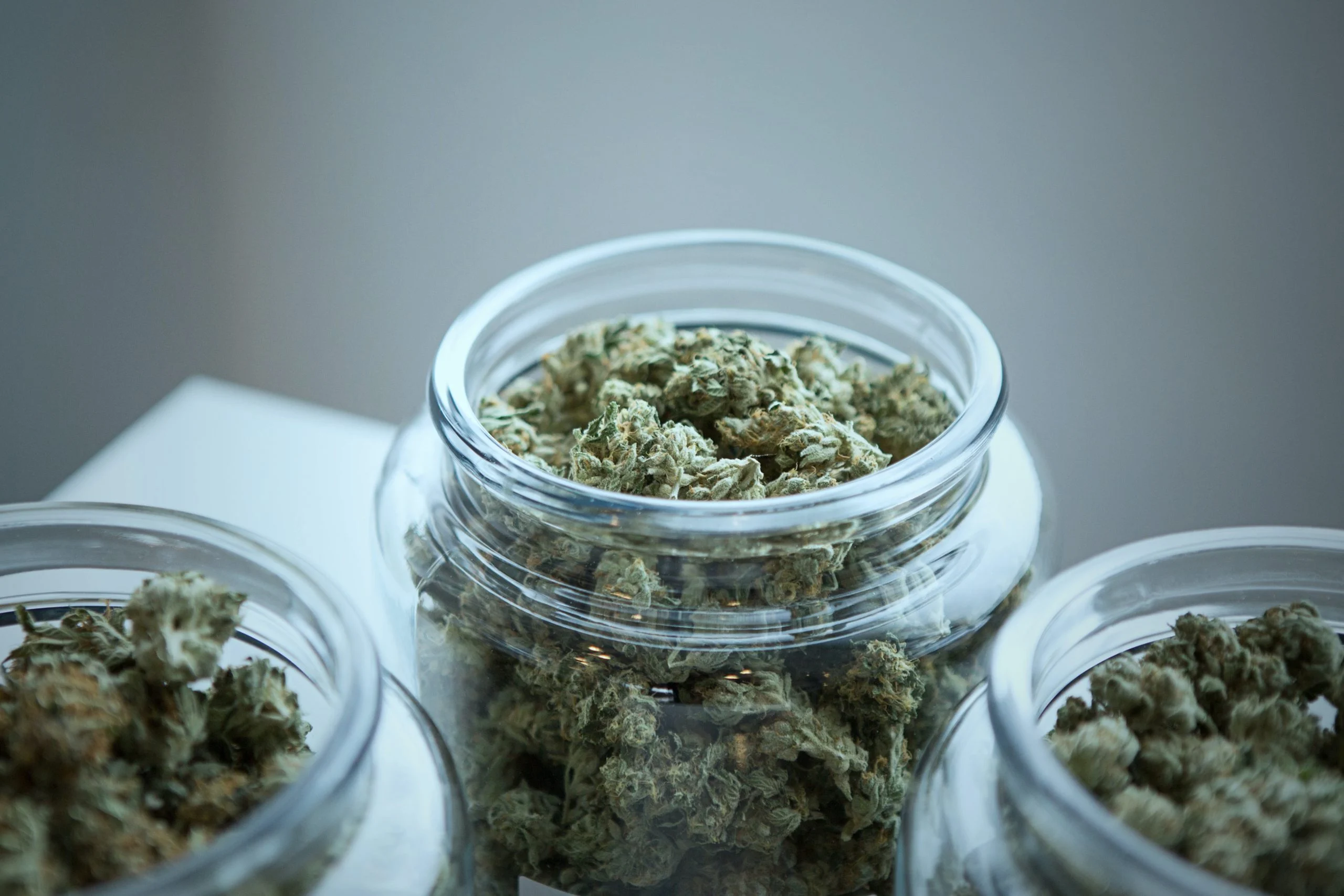Does Weed Go Bad and How Long Does it Last?