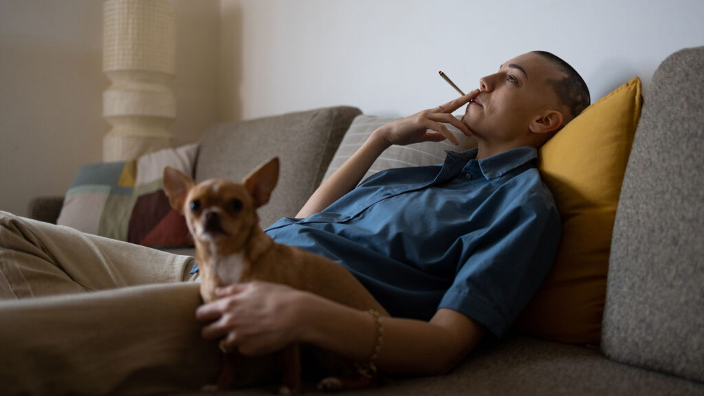 What does a first-time weed buyer need to know?