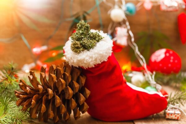 What are the Best Stoner accessories to Gift in 2025?