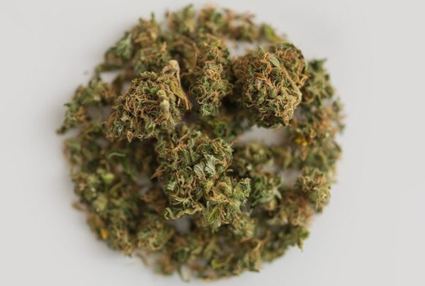 Where Can I Find the Cheapest Ounce Deals on Cannabis in Canada?