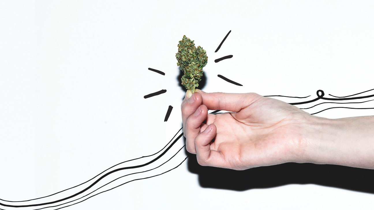 What are the Best Cannabis products for Beginners who have never tried Cannabis?