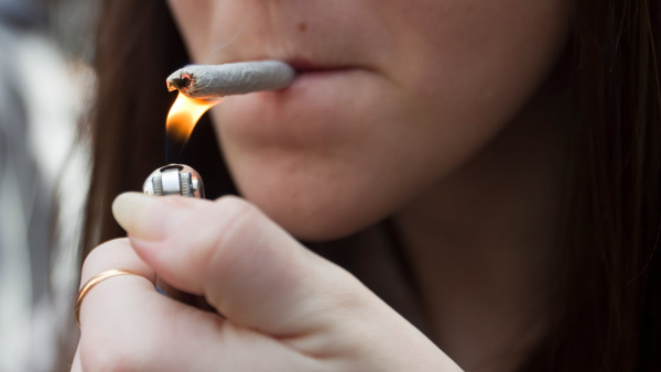 What is the Difference between Getting High from Weed vs Feeling the Effects of CBD?