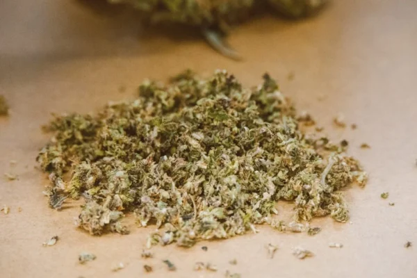 What is the Difference between Hash and Weed?