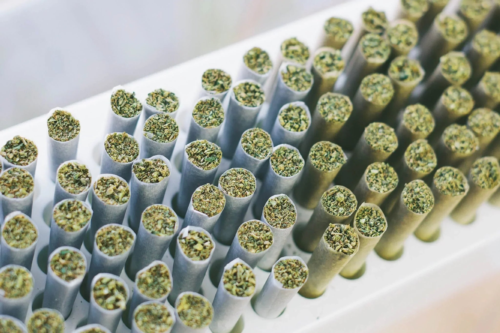 Different Pre-Roll Sizes Explained