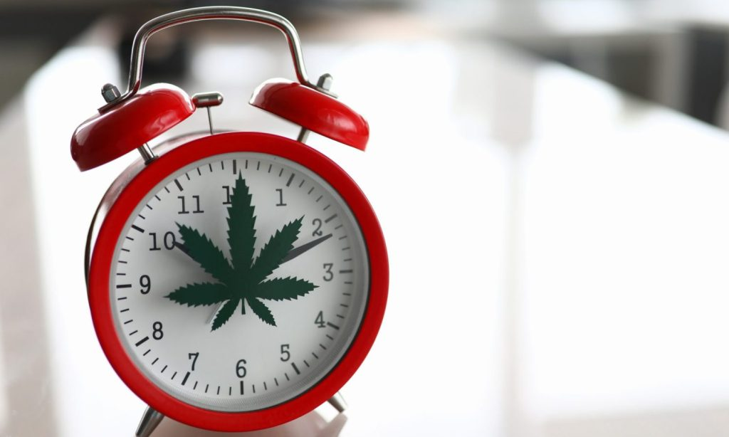 What Is a Cannabis Tolerance Break