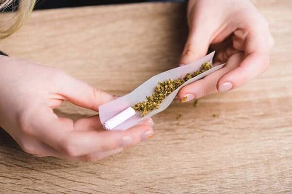 A Guide to Choosing Rolling Papers: Materials and Sizes 
