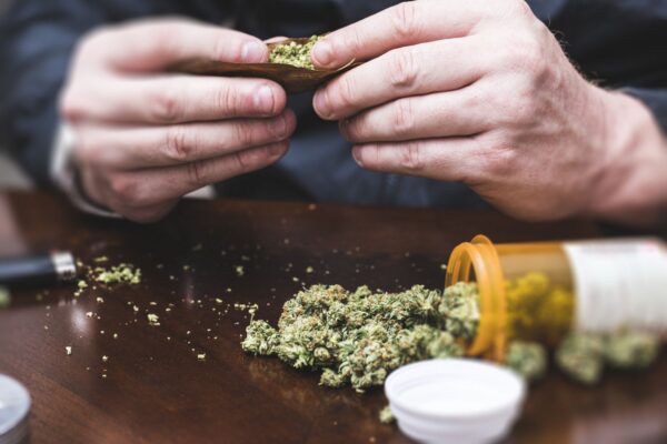 Your Ultimate Guide to THC Levels