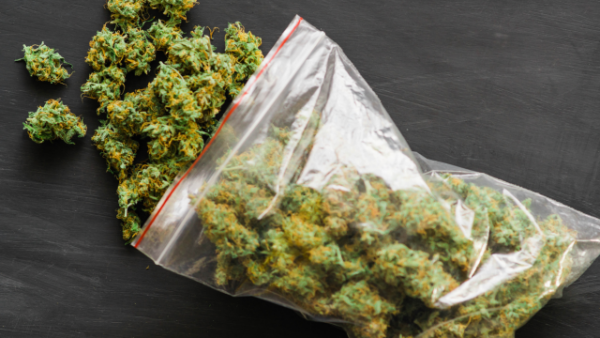 popcorn weed