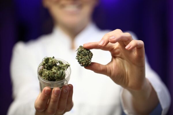 How to Get a Job in the Cannabis Industry