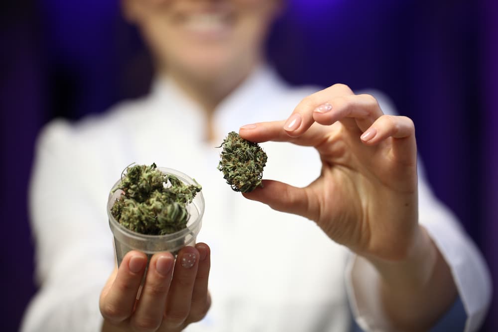 How to Get a Job in the Cannabis Industry