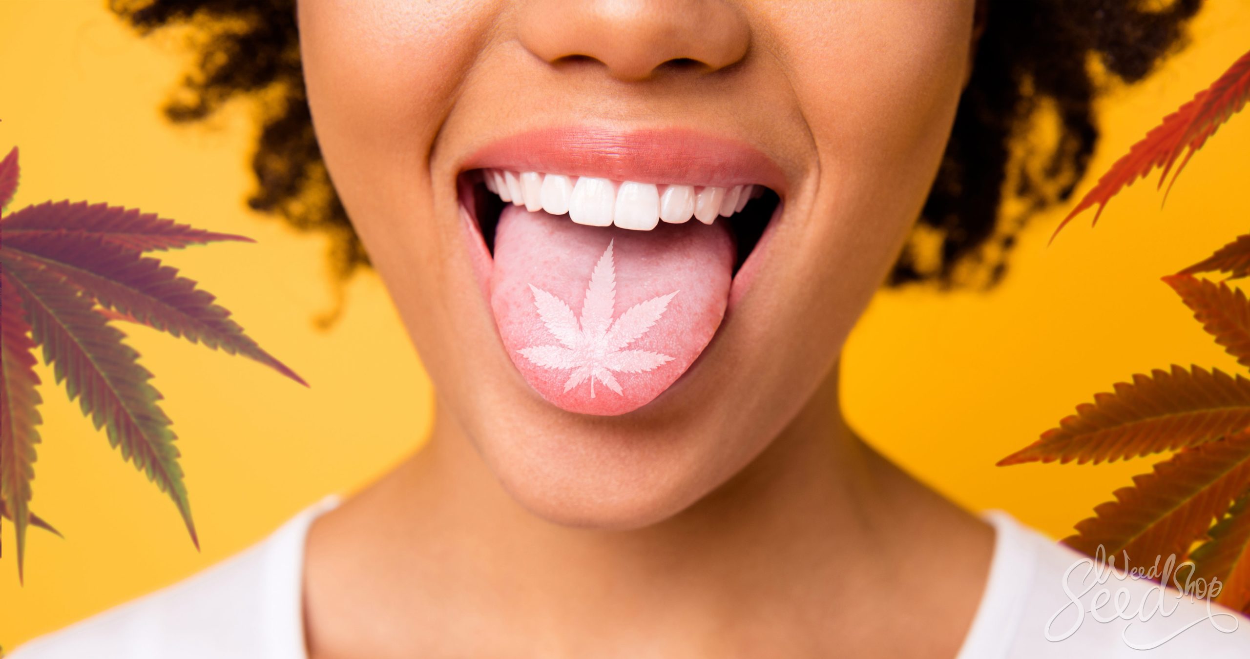 How to Get Rid of Dry Mouth From Edibles