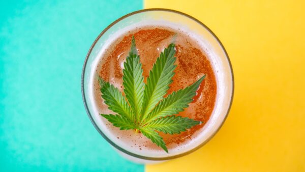 cannabis drinks