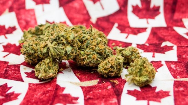 What Makes Canada’s Cannabis Market Unique