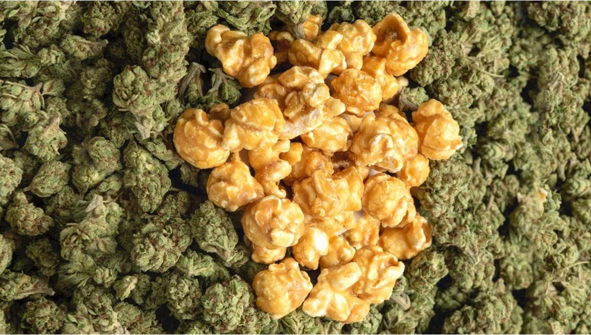 What Is Popcorn Weed? Small Buds and Value Flower 101