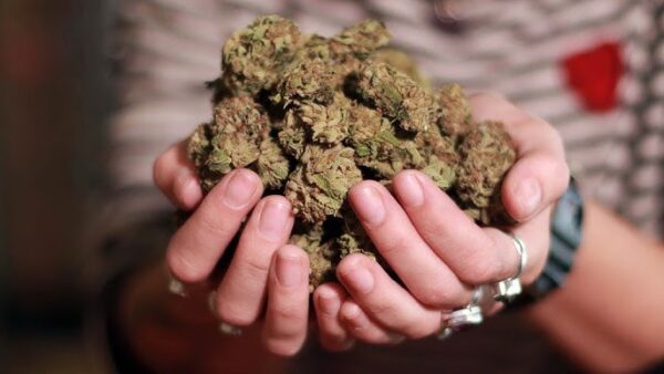 What Makes Canada’s Cannabis Market Unique
