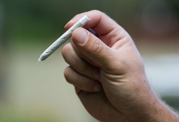 weed Joints