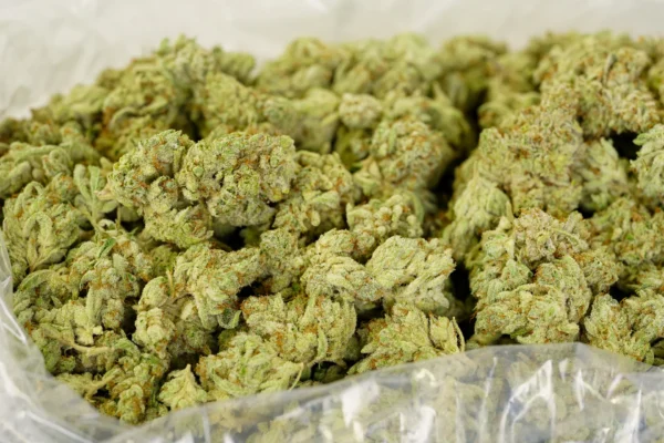 og kush