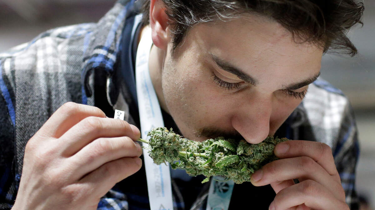 Why Weed Smells Like Skunk