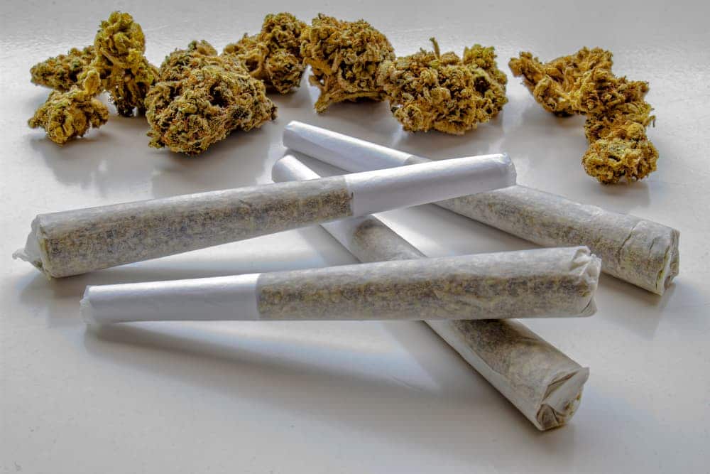 What Are Pre-Rolled Blunts? Everything You Need to Know Before You Buy